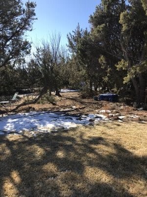 Bare Spot in yard